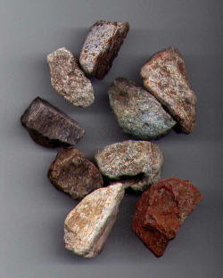 Genuine Fossil Dinosaur Bone can be found in your Dinosaurs Rock Dinosaur Birthday Party Dig.