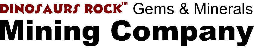 Mining for fossils and gemstones at your Dinosaurs Rock Excavaton Party